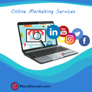 Professional Digital Marketing Services