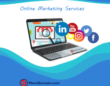 Professional Digital Marketing Services